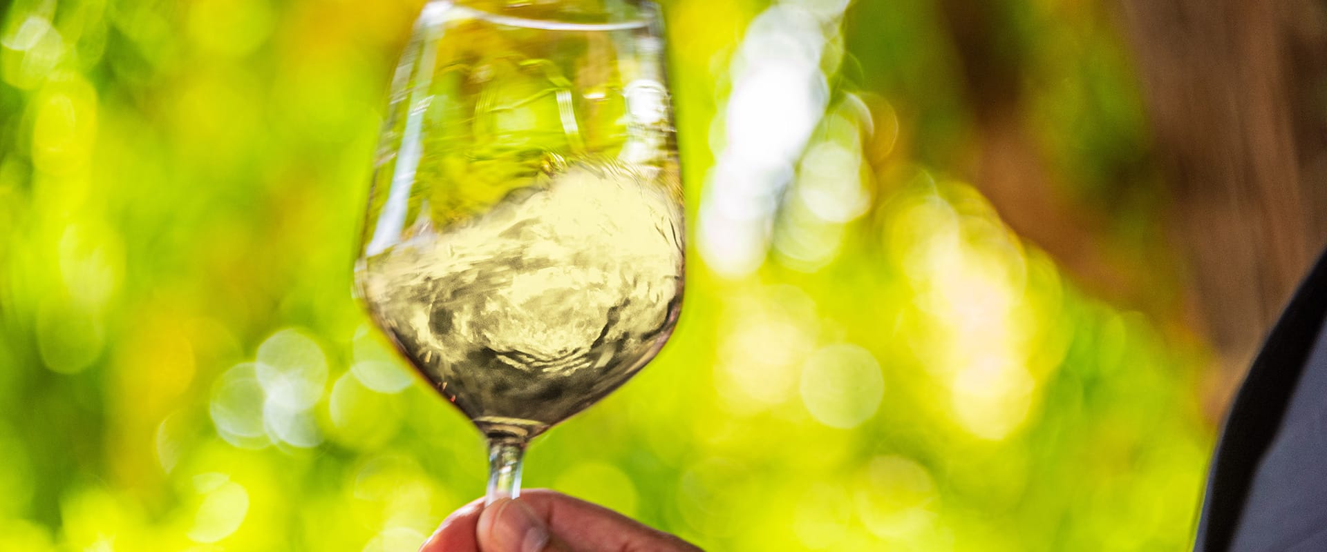 bicchiere di vino bianco