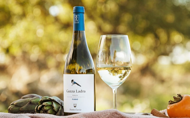 bottiglia e calice di vino gazza ladra
