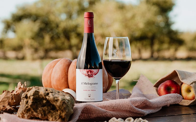 bottiglia e calice di vino melograno