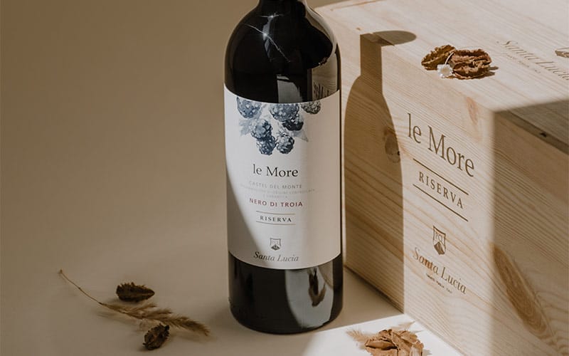 bottiglia di vino le more tra le foglie