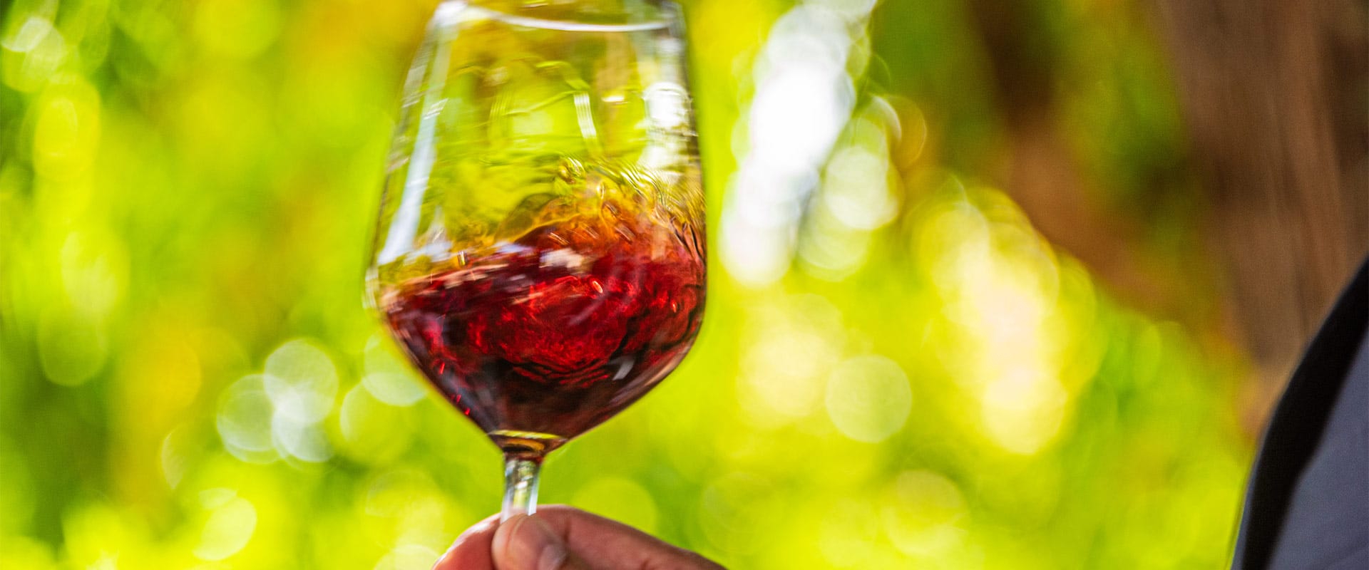 calice di vino rosso