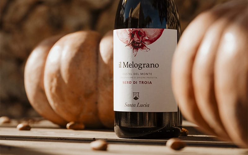 bottiglia di vino rosso il melograno