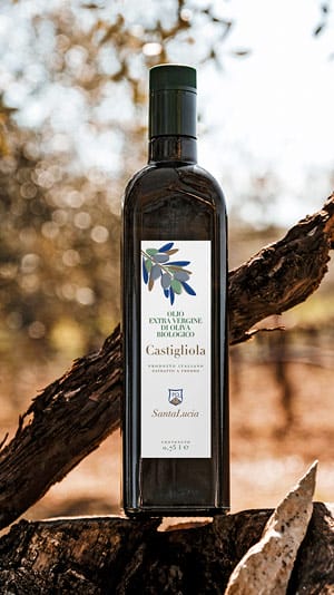 bottiglia di olio evo
