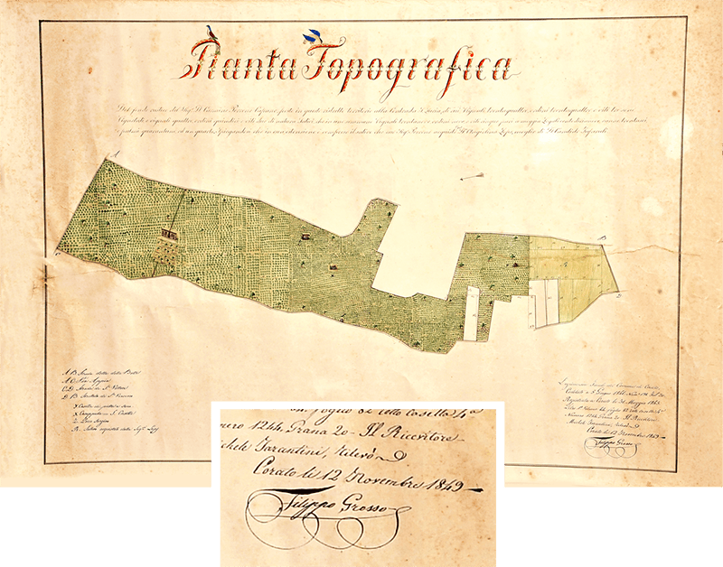 pianta topografica azienda agricola