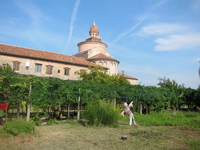 vigne-urbane-4