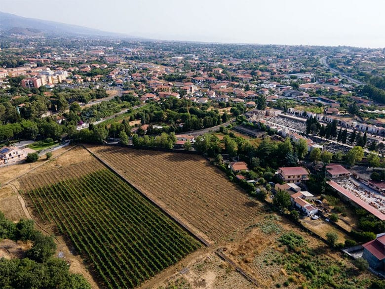vigne-urbane-7