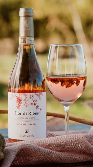 bottiglia di vino fior di ribes