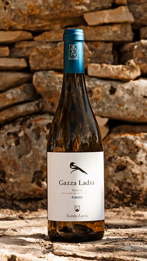 bottiglia di vino gazza ladra