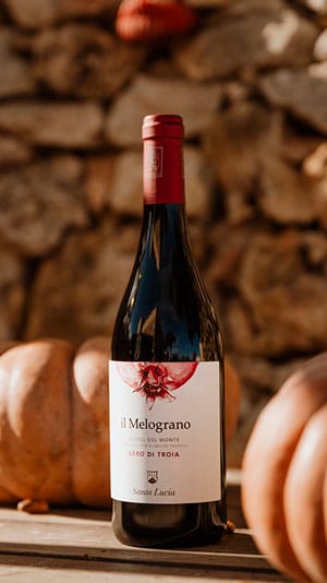 bottiglia di vino il melograno